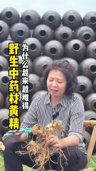 朋友托我弄来得中药材(黄精),教你如何区分野生的和种植的。#大山里的原生态 #我的乡村生活 #抖出家乡山货 #特色农产品