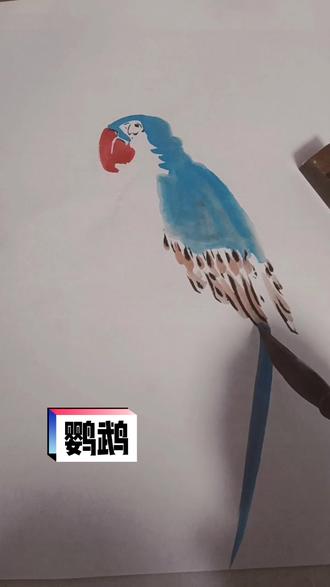 #水墨中国画 画鹦鹉你学会了吗?