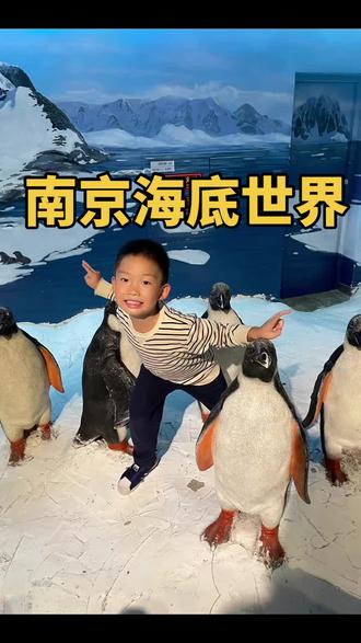 南京海底世界年卡开售啦,节假日通用!双人票298,1.2以下儿童免费喔!#国庆假期逛海底世界 #国庆超会玩指南 #亲子游玩好去处 #周末去哪玩 #遛娃好去处 @DOU+小助手