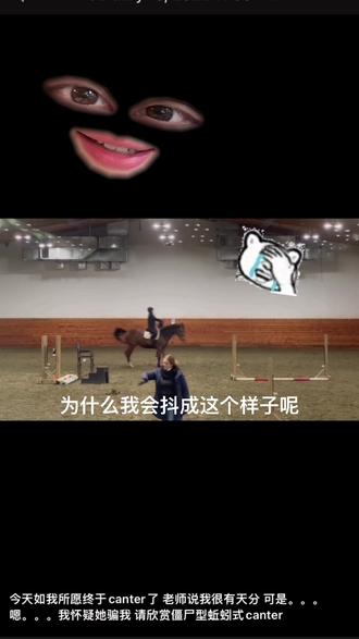 为什么国内的马术教的这么快 加拿大4个月canter都说是快的了😂
#马术 #日常训练