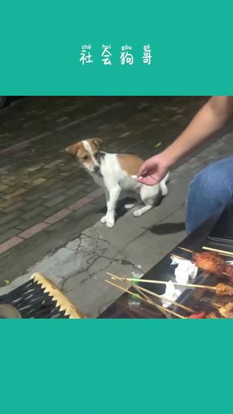 社会狗抽华子#搞笑 #搞笑视频