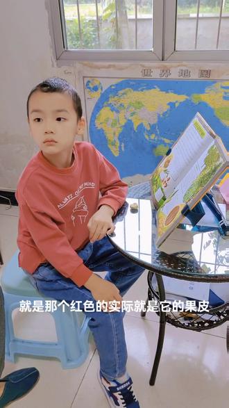 姜嘟嘟学习被子植物和裸子植物的区别(一)#每天学习一点点 #植物百科 #科学启蒙 #了解更多植物