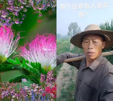 和 @五零后的生活 一起 #合拍