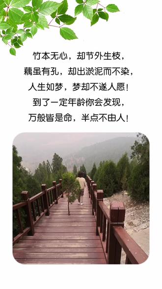 倾城在抖音记录美好生活20211103 - 抖音