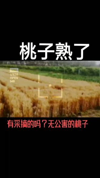 大兴!榆垡!留士庄!