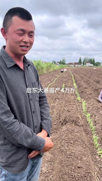 启东大葱亩产4万斤,奔这个方向发展。