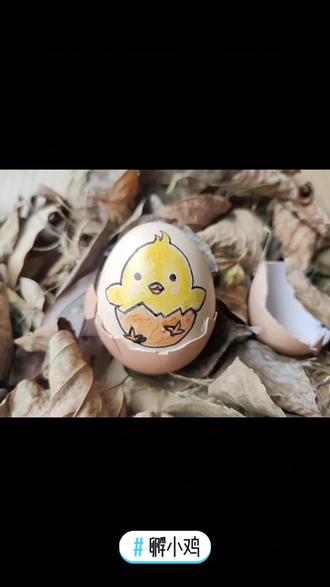 你们见过孵小鸡吗?#简笔画 #手绘 #鸡蛋画#儿童画 @抖音小助手