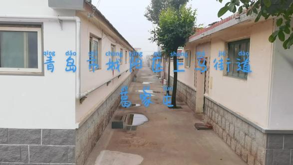 青岛市城阳区上马街道葛家屯欢迎您!