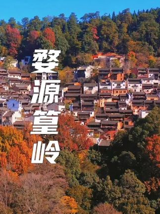 Victor的旅行日记