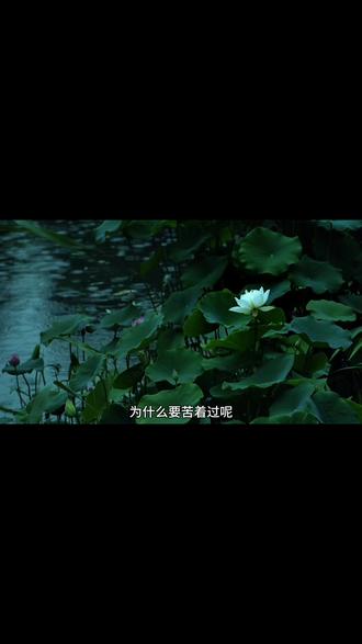 文字的魅力,王朔风格。#感悟人生#听别人的故事成长自己 #影响你的文学作品#心灵疗愈 #走心语录