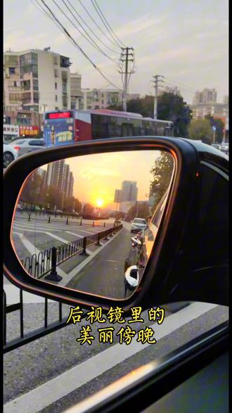 今年遇到的最大单尾似刺鳊鮈,一斤有余,幸哉乐哉!#原来钓鱼才是抖音运动顶流 #在冬日阳光下钓个鱼吧 #野外垂钓 #爱生活爱钓鱼