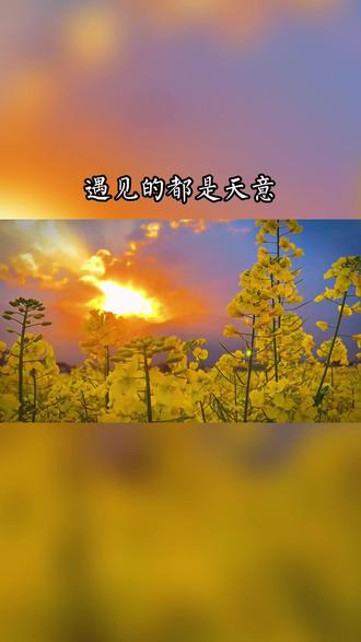 遇见的都是天意拥有的都是幸运不完美又何妨万物皆有裂痕那是光照进来