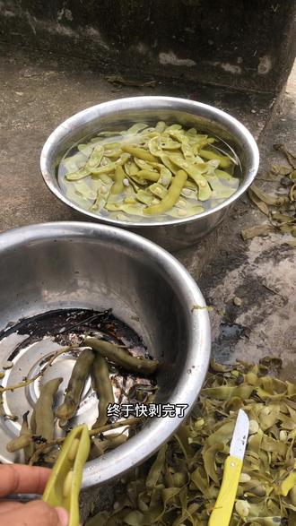 #狗爪豆 别问我在干嘛,我在剥狗爪豆