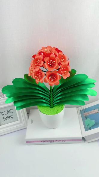 有梦想有目标才有动力,君子兰组装详细教程,喜欢的点赞收藏 #手工diy #好物推荐🔥