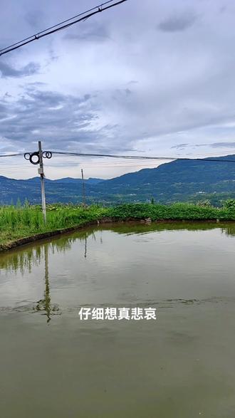 一个走心的文案,与大家共享。
