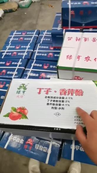 绿亨生物药剂(2.1%丁子·香芹酚)可防治灰霉病,霜霉病,疫病,叶霉病,蔓枯病,病毒病