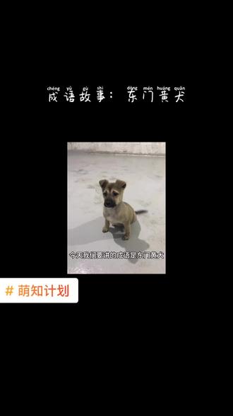 #萌知计划 #睡前故事 #历史故事 #历史 @抖音青少年 #描写 #上热门 #四字成语 东门黄犬