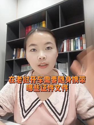 在老挝开车,一定要带齐证件#驾驶 #老挝 #交通 @抖音小助手