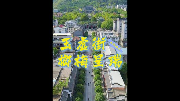 榔梅果你知道是怎么生长的吗?古代皇帝为了两颗榔梅果修建一座榔梅祠 #武当山 #童眼观武当 #传统文化 @武当山