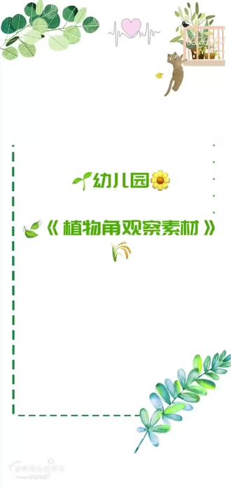 ##幼师必备 #幼师资源分享 幼儿园植物角观察素材,需要的幼师小姐姐看过来