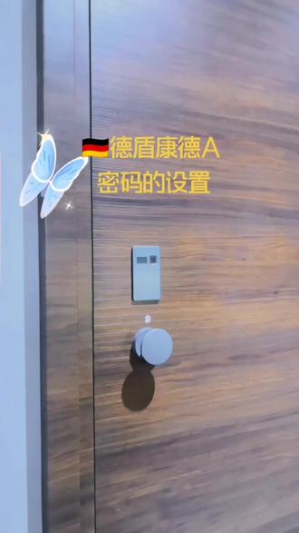 🇩🇪德盾安全门~康德A,轻奢简约风格。撬不开的安全门#安全门 #家装装修
