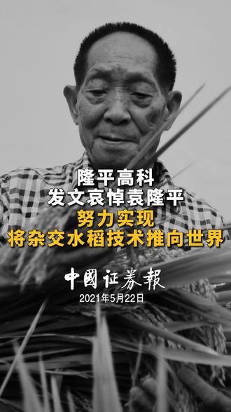 隆平高科发文哀悼袁隆平,努力实现将杂交水稻技术推向世界