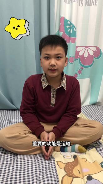 每天一讲———长城#每天学习一点点
