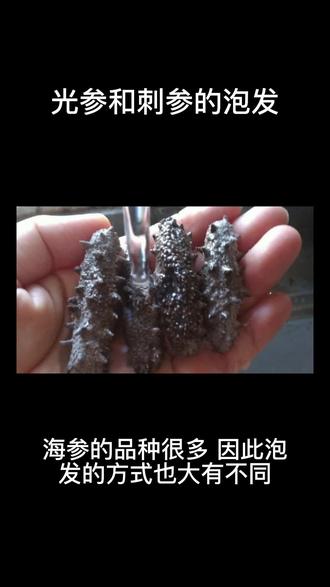 光参和刺参的泡发一定要知道!#海参 #滋补养生 #海味干货