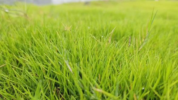 百色天立学校欢迎您~