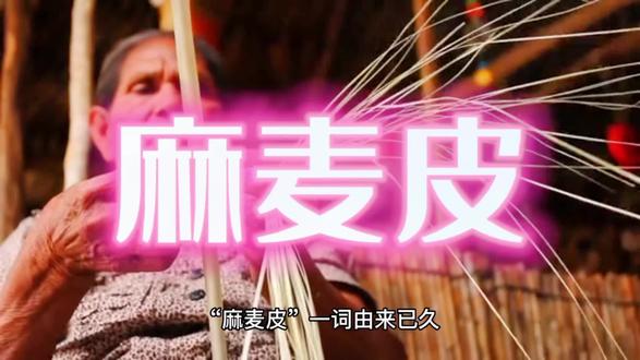 川渝方言之“麻麦皮”,你觉得理解的正不正确##民间故事 #知识分享欢迎大家讨论😂 #故事分享 #民间故事奇闻奇事 #把正能量传递出去让更多人看到