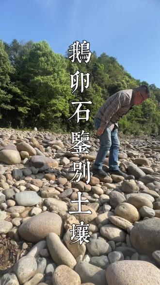 #茶生活 #爱喝茶的关注我 #召唤茶友 #茶 #茶人茶事茶生活 #武夷岩茶 #做茶人 #制茶人 @抖音小助手 @DOU+上热门
