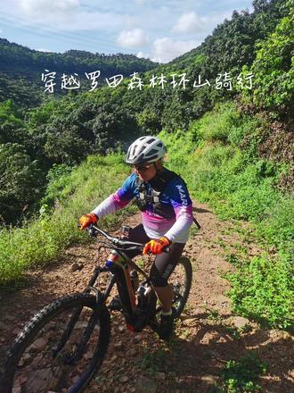 沉浸式~骑行穿越罗田森林
推车~抱树~穿越森林🚴
#自然 #丛林越野 #我的骑行日常 #城市记忆 #山地车速降