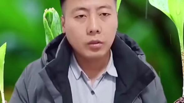 作物锈病如何防治#病虫害防治 #农业技术 #百万农资招商网 #热门 #一定要看到最后