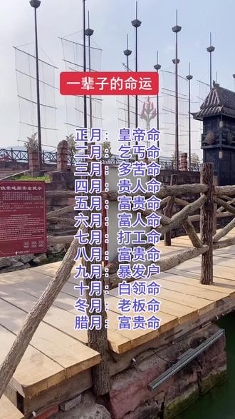 我是乞丐命,你们呢?#景点打卡 #情感