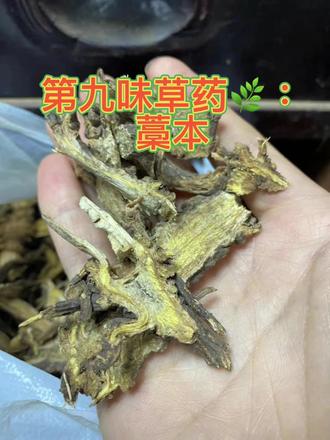 藁本:读音搞本
药性:辛,温
归经:膀胱经
功效:祛风散寒,除湿止痛
用法:生用#草药知识 #中医