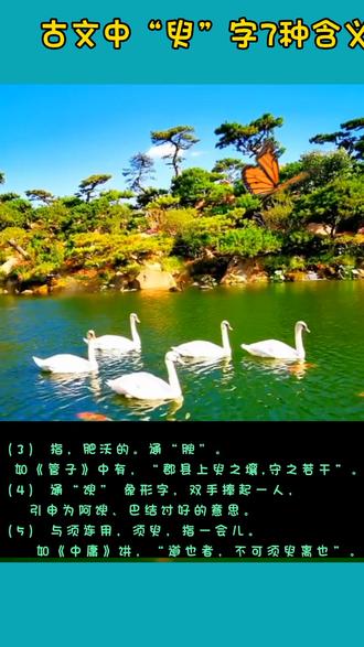 古文中“臾”字有多重含义。#语文 #教育 #文言文 #高考 #古文 @DOU+小助手 @DOU+上热门