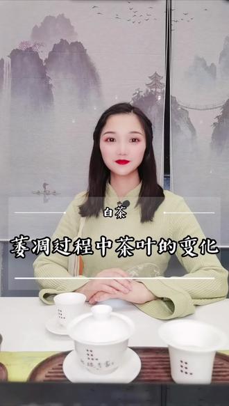 萎凋过程中茶叶的变化#茶文化知识