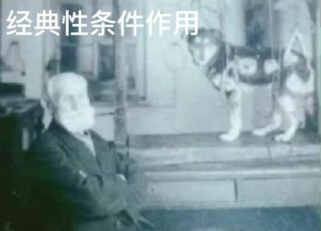 教育心理学人物讲解——巴普洛夫(行为主义)