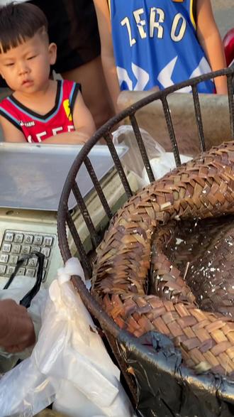 这里是睢宁的早上#蒲包豆腐#睢宁美食 #抖音美食推荐官 #跟着抖音去探店 #地方特色美食