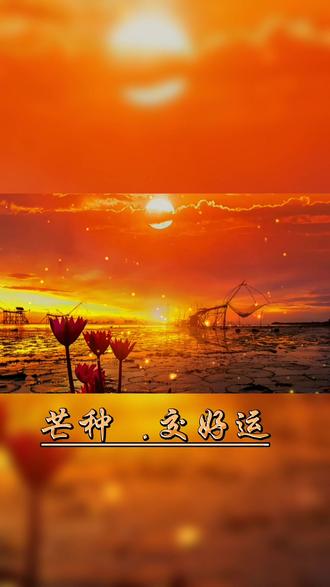 #芒种#民间有一种说法,说芒种后九天,是一年当中最重要的交运时刻,应该注意点什么#传统文化#民俗