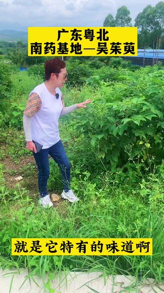 知道这植物的在评论区留言#新农人计划2022 #现代农业 #休闲农场 @农密科技 @抖音小助手