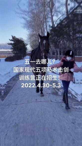 五一去哪儿?来国家现代五项训练基地参加马术击剑训练营吧!#马术 #击剑 #五一假期