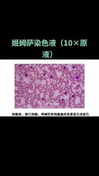 姬姆萨染色液(10×原液)#实验耗材 #实验试剂 #医学科研 #医学研究 #生物研究