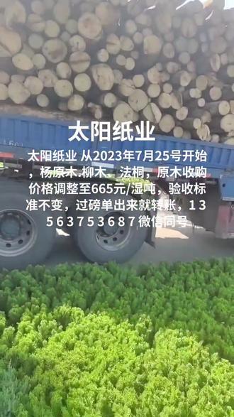 太阳纸业 从2023年7月25号开始,杨原木.柳木、法桐,原木收购价格调整至665元/湿吨,验收标准不变,过磅单出来就转账,1 3 5 6 3 7 5 3 6 8 7 微信同号