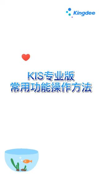 KIS专业版常用功能操作方法#金蝶软件