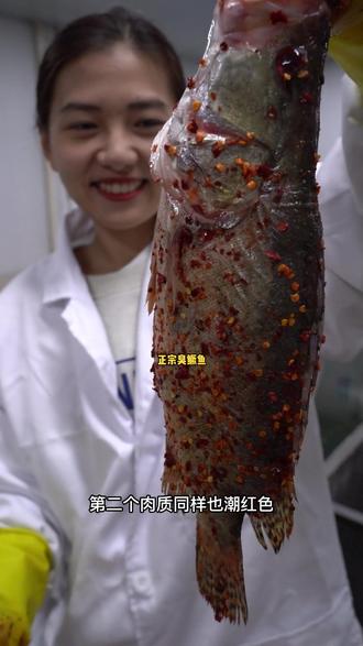 一条好鱼他的肉质肯定是呈潮红色,因为我们家一直坚持活鱼zs,木桶腌制,才有这样的好品质#臭鳜鱼 #高端食材