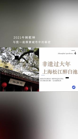 上海之源松江-醉白池-古典园林最古老的一处第四期 #旅行 #古建筑之美 #国风古韵 #文物古迹