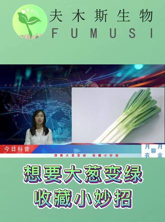 想要大葱变绿 收藏这个小妙招