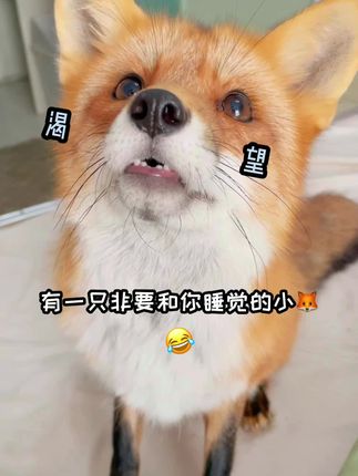 星期一和礼拜五