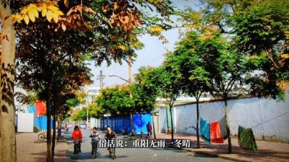 今天重阳节,你那里下雨了吗?#三农#农业谚语 #农业种植 #农作物农技110